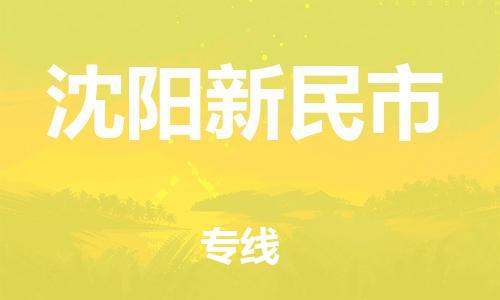 新豐縣到沈陽(yáng)新民市危險(xiǎn)品物流-新豐縣到沈陽(yáng)新民市危險(xiǎn)品運(yùn)輸專(zhuān)線-涂料樹(shù)脂專(zhuān)業(yè)貨運(yùn)歡迎訪問(wèn)